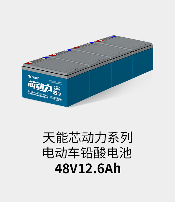 尊龙凯时电池48v12ah